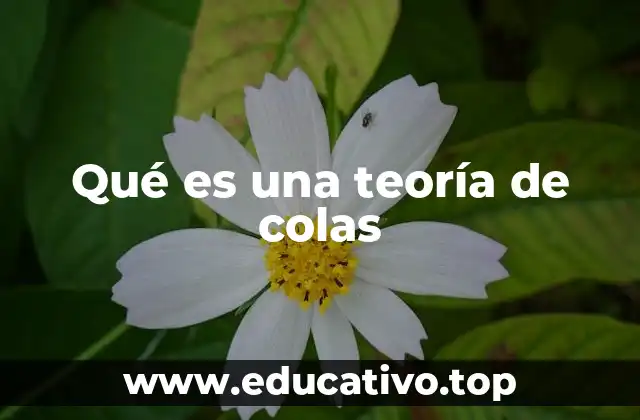 Qué es una teoría de colas