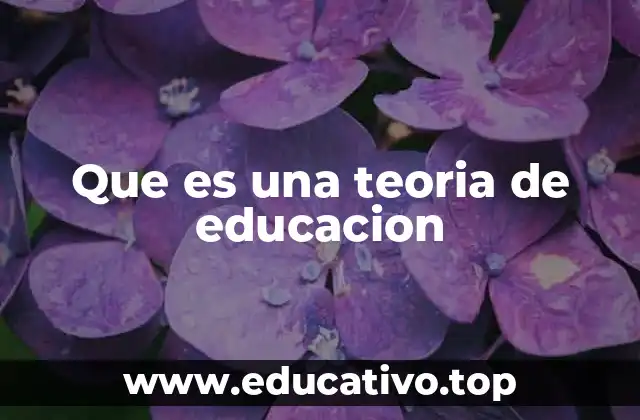 Que es una teoria de educacion