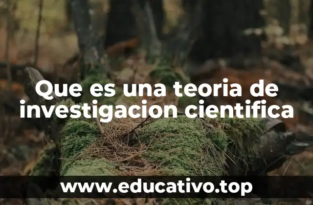 Que es una teoria de investigacion cientifica