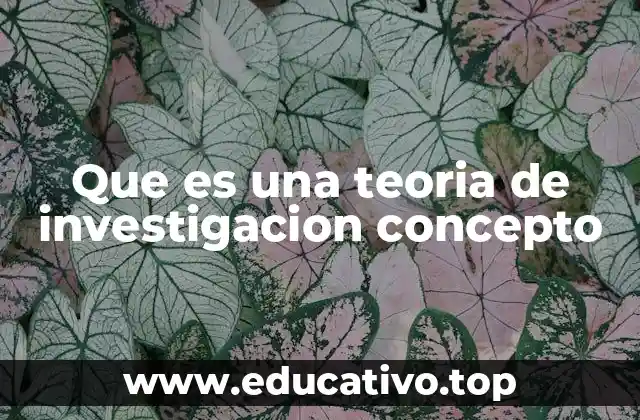 Que es una teoria de investigacion concepto