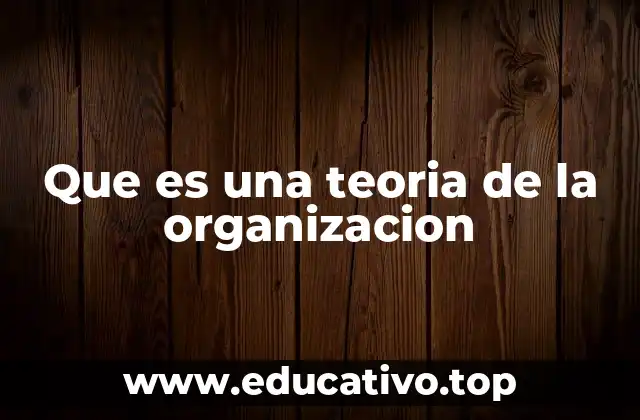 Que es una teoria de la organizacion