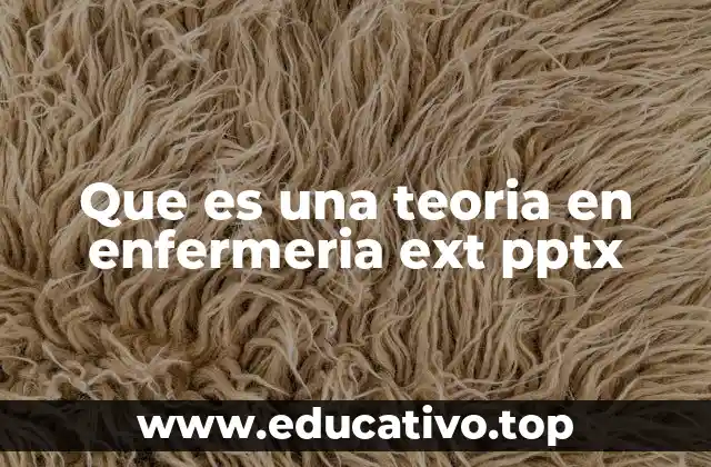 Que es una teoria en enfermeria ext pptx