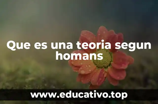 Que es una teoria segun homans
