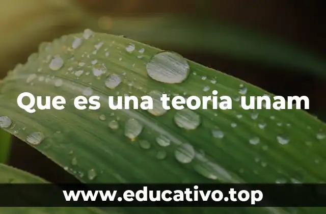Que es una teoria unam