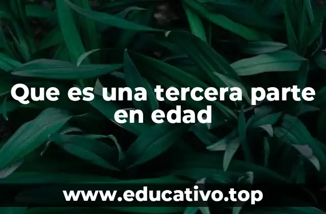 Que es una tercera parte en edad