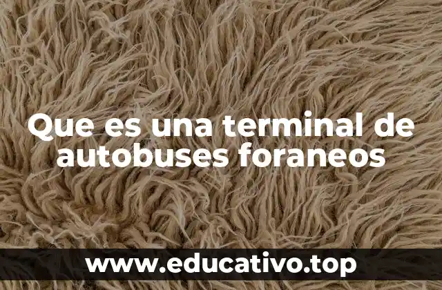 El papel de las terminales en el transporte interurbano