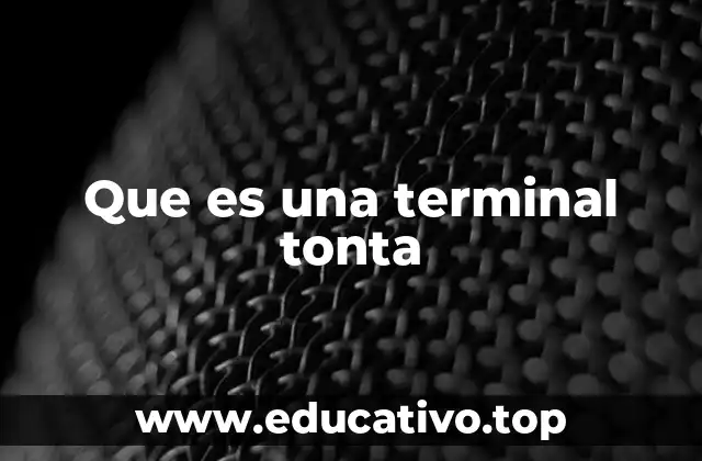 Que es una terminal tonta