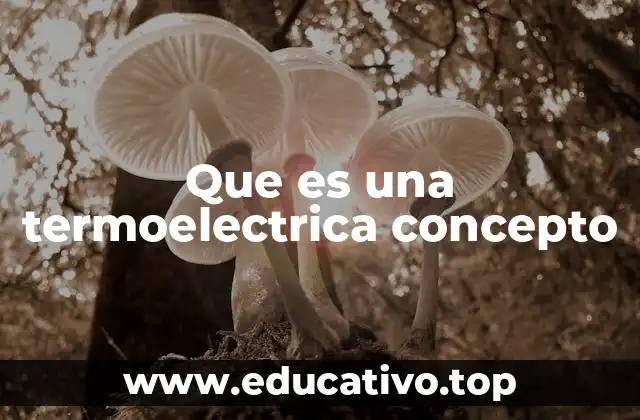 Que es una termoelectrica concepto