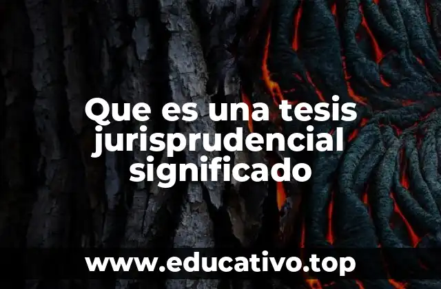 Que es una tesis jurisprudencial significado