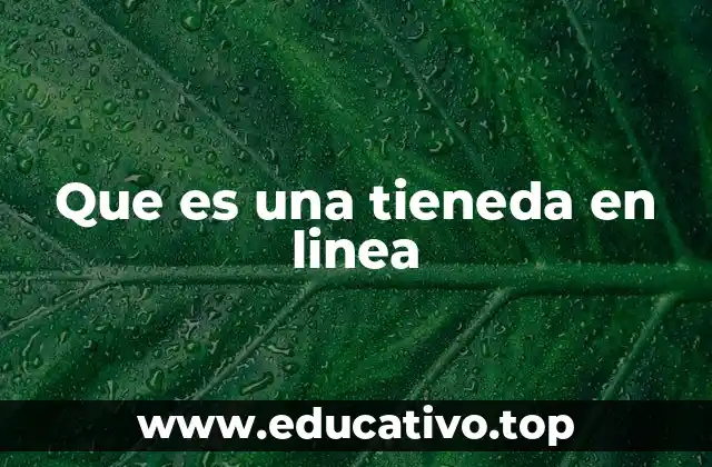 Que es una tieneda en linea