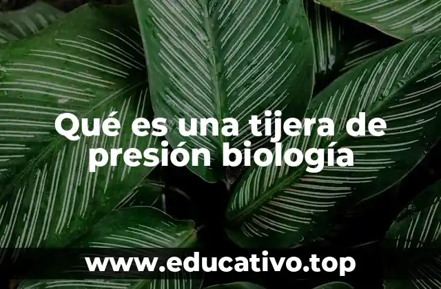 Qué es una tijera de presión biología