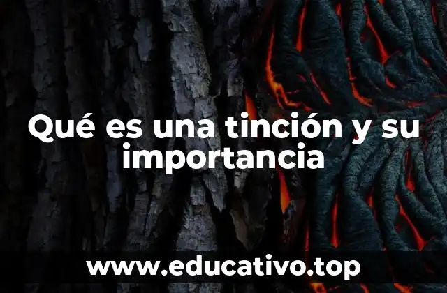 Qué es una tinción y su importancia