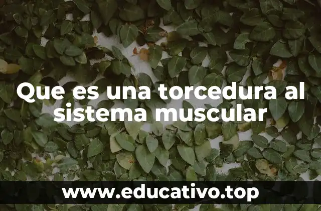 Que es una torcedura al sistema muscular