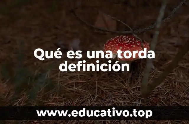 Qué es una torda definición
