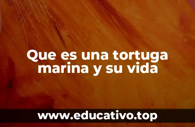 Que es una tortuga marina y su vida