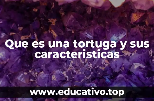 Que es una tortuga y sus caracteristicas