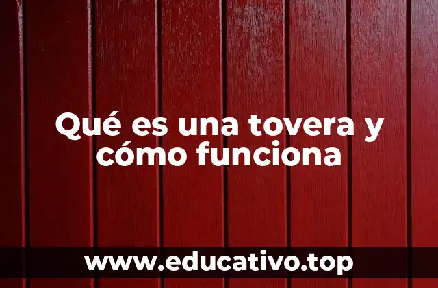 Qué es una tovera y cómo funciona