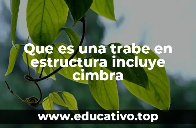 Que es una trabe en estructura incluye cimbra
