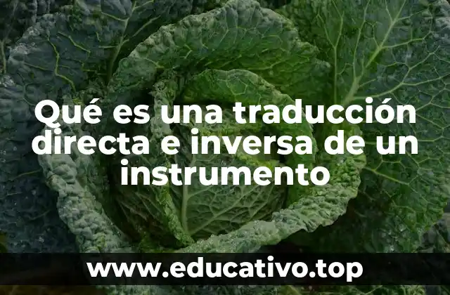 Qué es una traducción directa e inversa de un instrumento