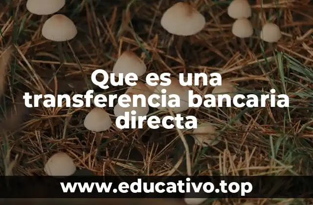 Que es una transferencia bancaria directa