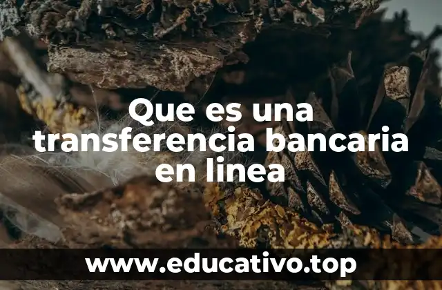 Que es una transferencia bancaria en linea