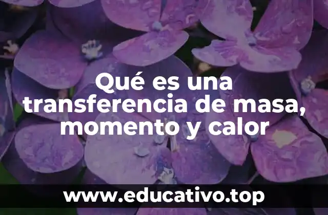 Qué es una transferencia de masa, momento y calor