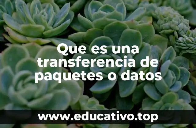 Que es una transferencia de paquetes o datos
