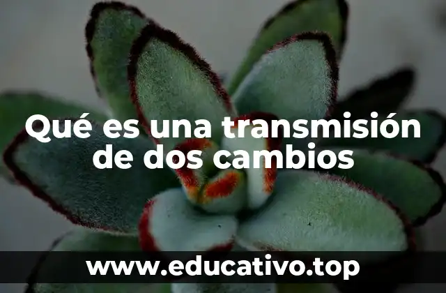 Qué es una transmisión de dos cambios