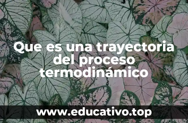 Que es una trayectoria del proceso termodinámico