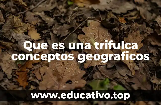 Que es una trifulca conceptos geograficos
