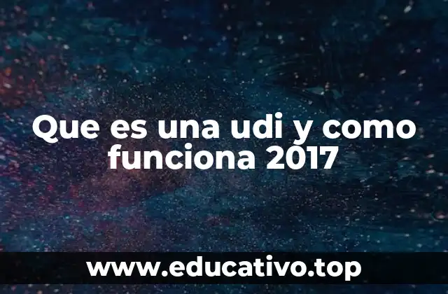 Que es una udi y como funciona 2017