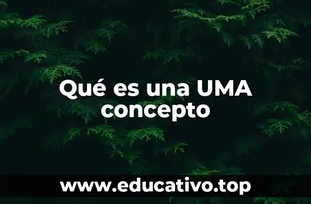 Qué es una UMA concepto
