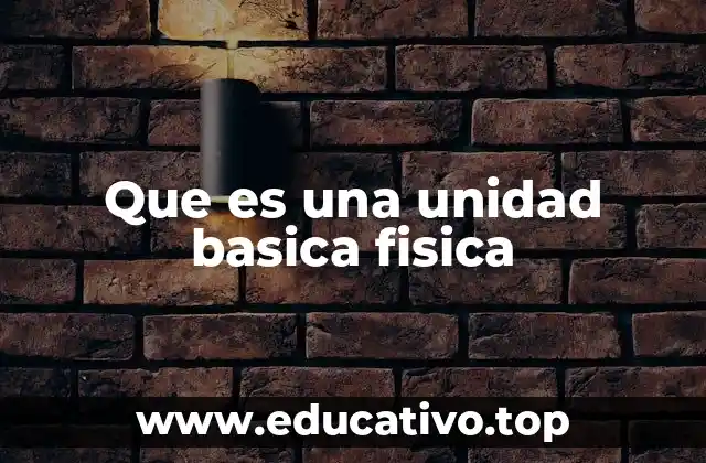 Que es una unidad basica fisica