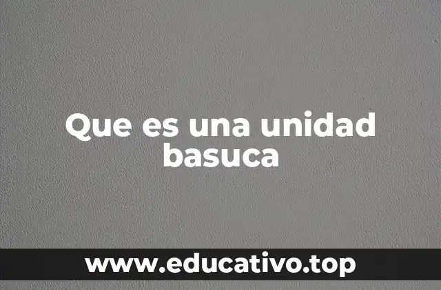 Que es una unidad basuca