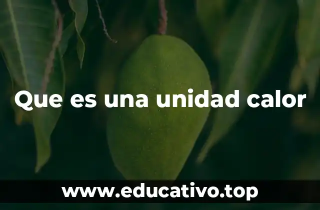 Que es una unidad calor