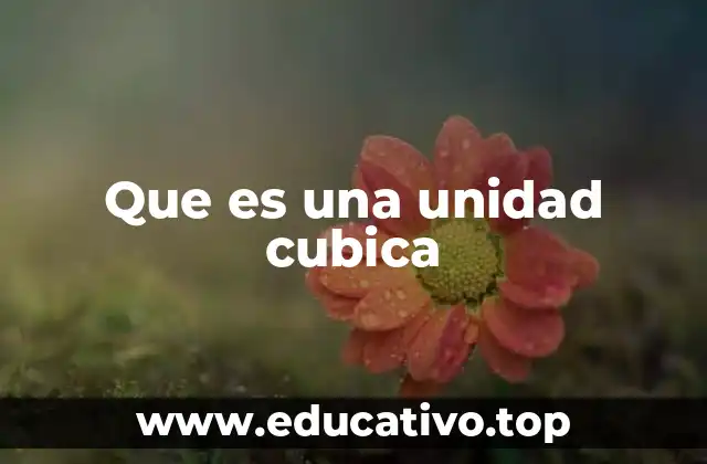 Que es una unidad cubica