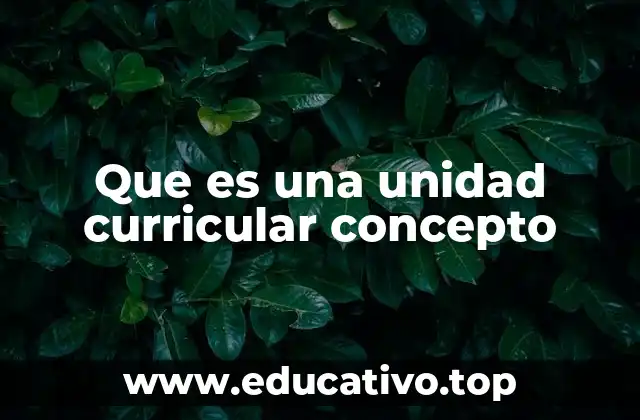 Que es una unidad curricular concepto