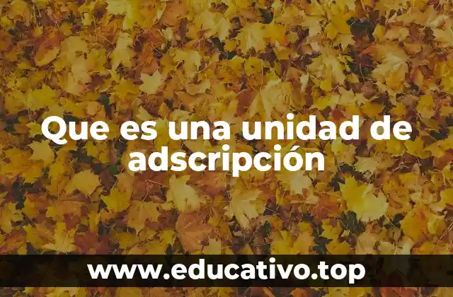 Que es una unidad de adscripción