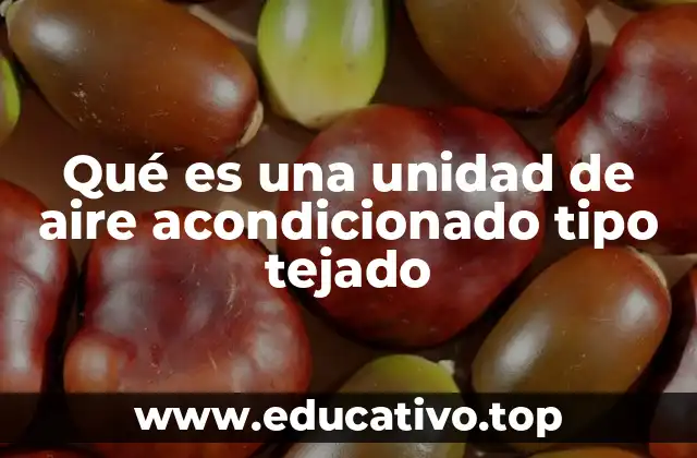 Qué es una unidad de aire acondicionado tipo tejado