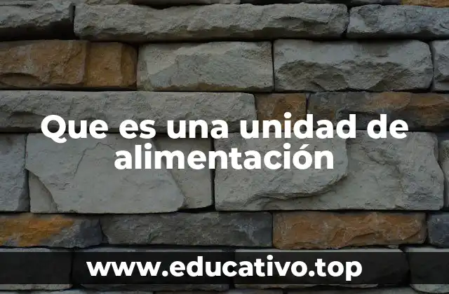 Que es una unidad de alimentación