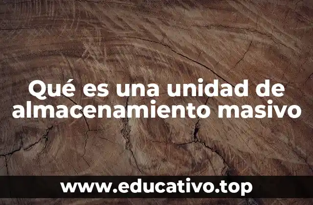 Qué es una unidad de almacenamiento masivo
