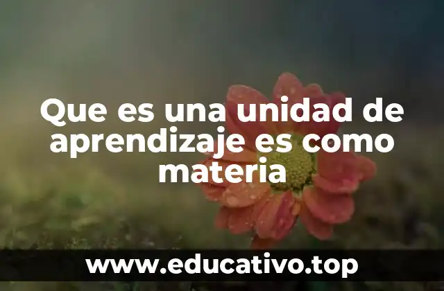 Que es una unidad de aprendizaje es como materia
