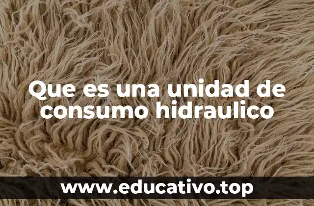 Que es una unidad de consumo hidraulico