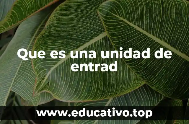 Que es una unidad de entrad