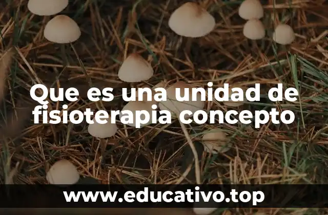 Que es una unidad de fisioterapia concepto