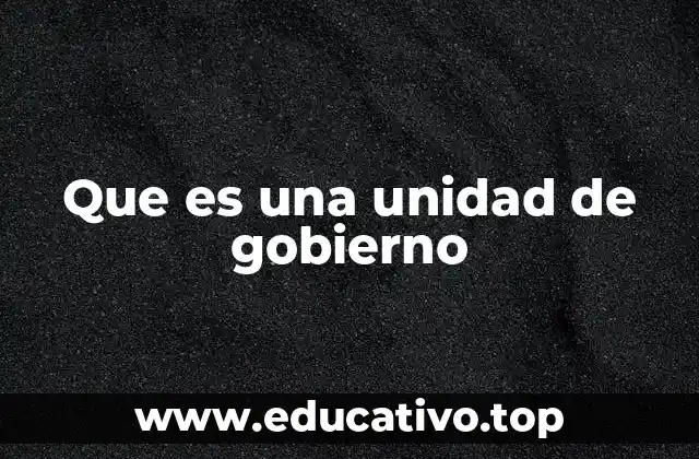 Que es una unidad de gobierno