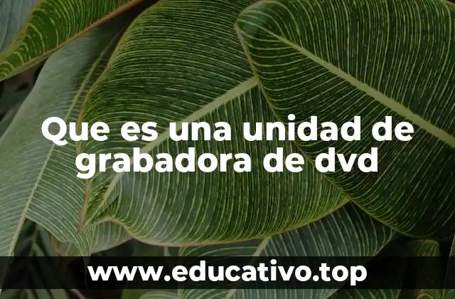 ¿Cómo funciona una unidad de grabadora de DVD?