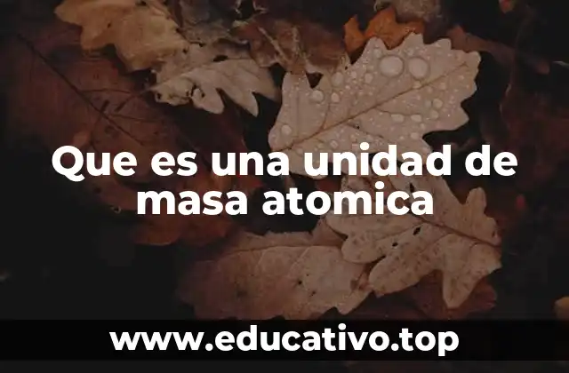 Que es una unidad de masa atomica