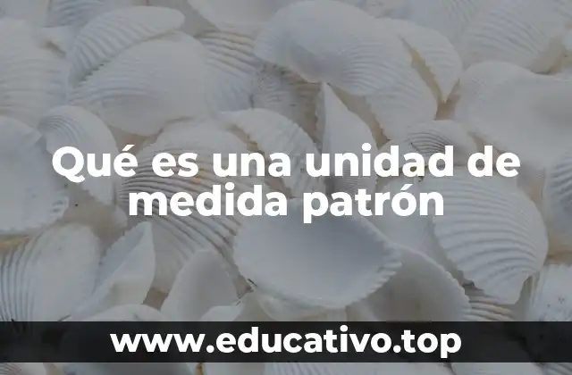 Qué es una unidad de medida patrón
