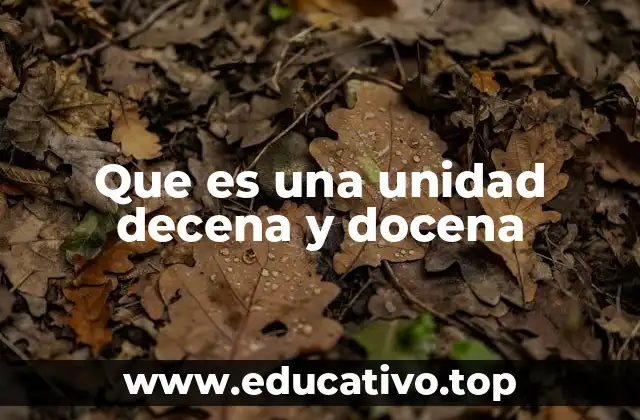 Que es una unidad decena y docena